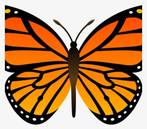 Cartoon Butterfly Image - Butterflies Download