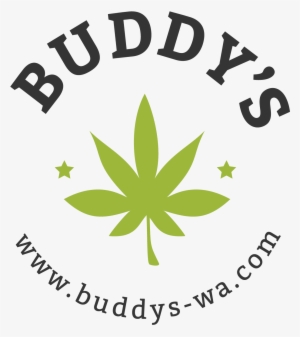 Buddys Logo Design Light Background - Difference Between Sativa Hybrid Indica