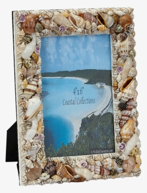 Assorted Shells Photo Frame 8x10" - Picture Frame