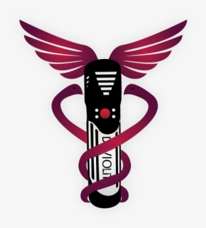 I Used The Company's Device And Incorporated The Caduceus, - Wings Shield