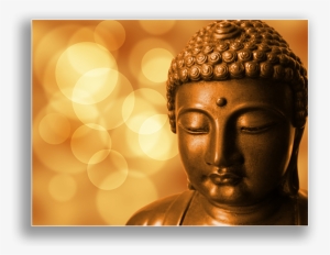 Meditation And Mindfulness - Dhammapada 179