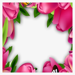 Rose Flower Frame With Butterfly - Beautiful Pink Rose Flower