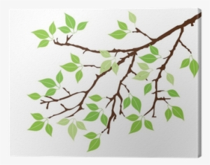Vector Tree Branch With Leaves Canvas Print • Pixers® - Cliparts Tree Branch