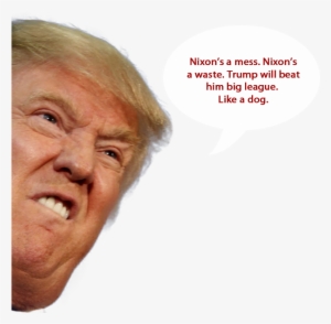 Stock Transparent Face Trump Funnypictures Png Stock - Donald Trump Funny Face Png