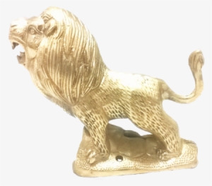 Masai Lion