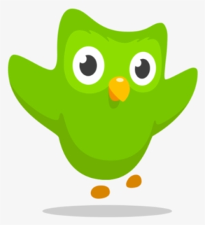 Don't Be Fooled By How Cute It Is - Duolingo Icon