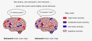 brains clipart brain activity - introvert's brain