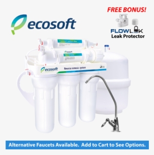 Ecosoft Premium 5-stage Reverse Osmosis System - Reverse Osmosis