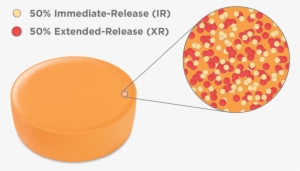 Diagram Illustrating Percentage Of Immediate And Extended - Microparticle