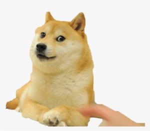 I Edited The House Out Of Everyone's Favourite Doge - Wow Such Doge! Wow Such Doge! Wow Such Doge! Sticker