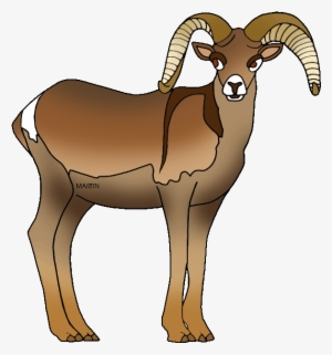 Dall Sheep Clipart Ram Pencil And In Color Dall Sheep - Nevada State Animal Bighorn Sheep