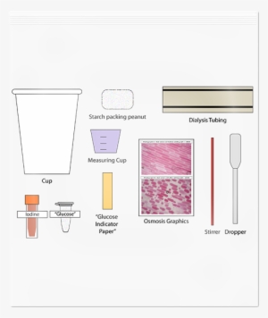 Diffusion And Osmosis - Graphic Design