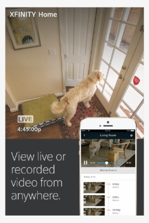 The Xfinity Home, The Total Home Security And Home - Golden Retriever
