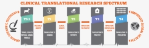 clinical translational research spectrum