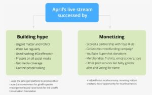 April The Giraffe Live Stream Success Diagram - April