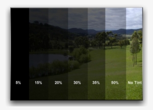 Window Tint Levels