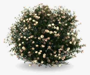 2) Importar Bloques De 3ds Max O Archmodels, Ya Que - Artificial Flower