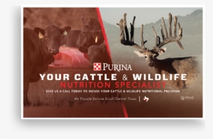 Purina Direct Mail - Mail