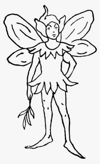 How To Set Use Fairy 3 Svg Vector