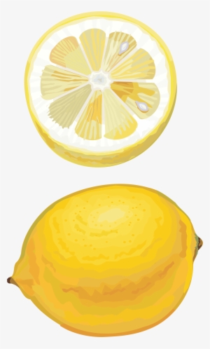 Lemon Drawing Transparent