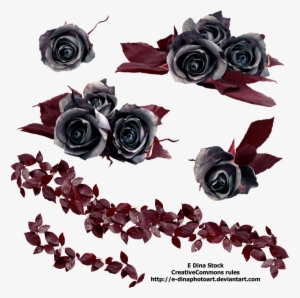 Gothic Rose Png Free Download - Black Roses Png