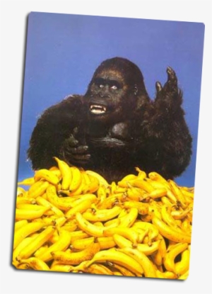 Form Image - Gorilla Eating Banana Funny
