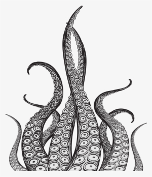 Octopus Tentacles Png Pic - Octopus Tentacles Drawing
