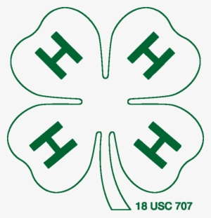 White W/ Green Outline 4-h Clover Png - 4 H Logo White