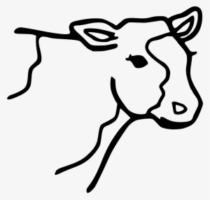 Cow Comments