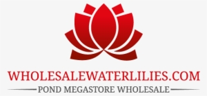 Pond Megastore Wholesale Waterlilies Dept - Graphic Design
