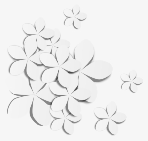 White Flowers Transprent Png Free Download Symmetry - Flower Vector White Png
