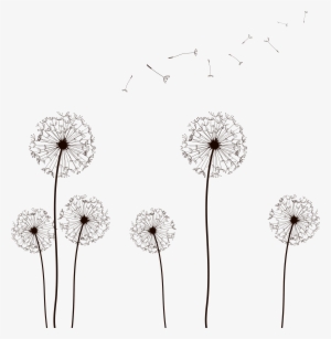 Vector Dandelion Vector 02 By Dragonart