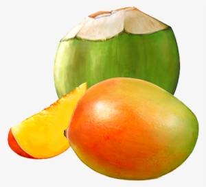 Graphic Free Mango Clipart Vector - Coco Mango Png