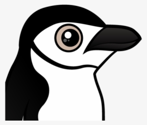 About The Chinstrap Penguin - Chinstrap Penguin Transparent