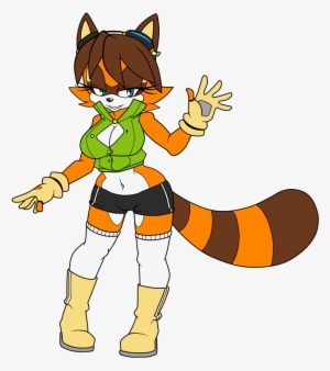 Naval The Raccoon - Cartoon