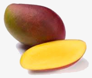 Mango-palmer - Mango Palmer