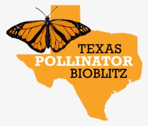 Pollinator Bioblitz Logo - Texas