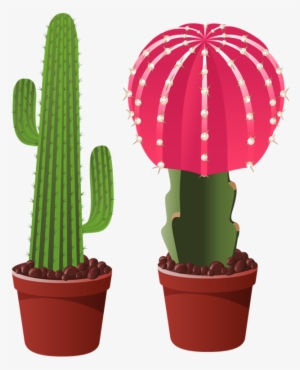Picture - Flower Cactus Clip Art