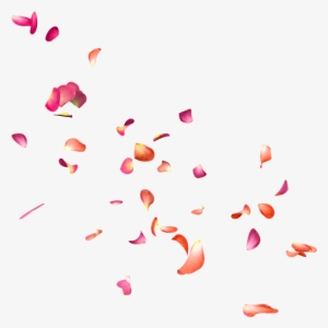 Falling Rose Petals Png - Png Effects For Editing