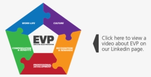 Evp - Employee Value Proposition Culture