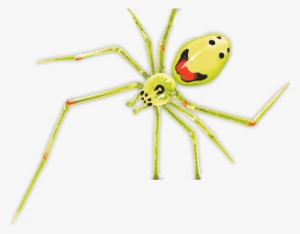 U-haul Supergraphics - Uhaul Spider