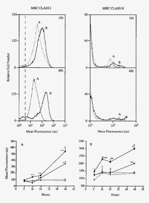 Flow Cytometric Profiles Illustrating The Expression - Blot