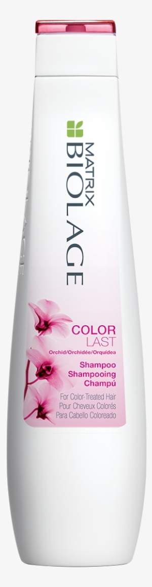 choosing the best shampoo and conditioner for your - matrix biolage color last shampoo, 33.8 ounce