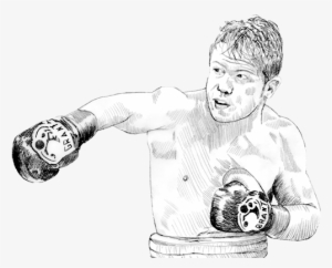 Ilustración A Lápiz - Dibujo De Canelo Boxeador