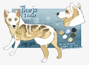 Picture - Smooth Collie