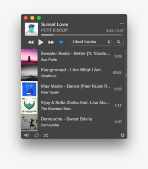 install various themes and easily switch to a secondary - mac os music player small