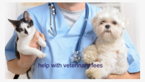 How We Can Help/cómo Te Podemos Ayudar - Animal Veterinarian