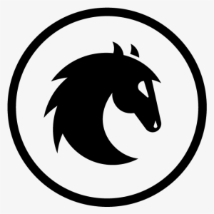 .com