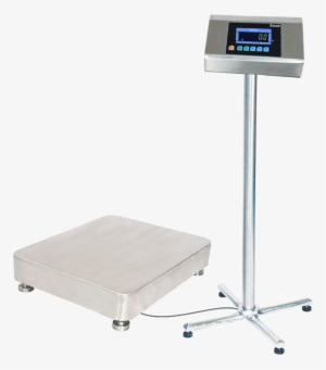 Adult Weighing Scale With Coin Selector & Printer - S.s.r. Solutions