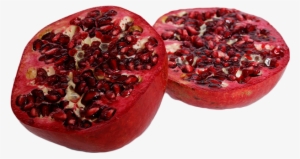 Growing Pomegranate